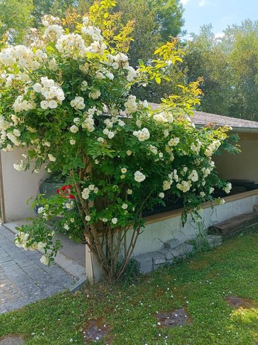 Maison a vendre Saint-Philibert 56470 Morbihan 154 m2 5 pièces 943200 euros