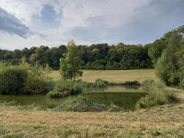 Terrains de loisirs bois etangs a vendre Muret-et-Crouttes 02210 Aisne 4249 m2  34600 euros