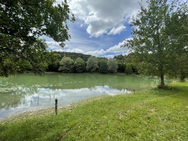 Terrains de loisirs bois etangs a vendre Aromas 39240 Jura 128600 m2  160000 euros