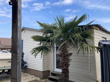 Maison a vendre Dozulé 14430 Calvados 27 m2 3 pièces 79500 euros