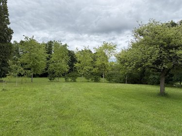 Immeuble a vendre Ménéac 56490 Morbihan 300 m2  74500 euros