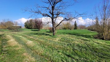 Maison a vendre Marans 17230 Charente-Maritime 89 m2 3 pièces 227240 euros