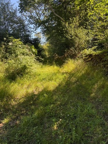 Terrains de loisirs bois etangs a vendre Martinvast 50690 Manche 7346 m2  19080 euros