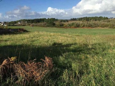 Divers a vendre Esquibien 29770 Finistère 1386 m2  54577 euros