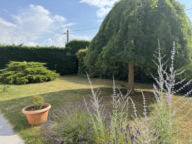Maison a vendre Rivière 37500 Indre-et-Loire 76 m2 4 pièces 252500 euros