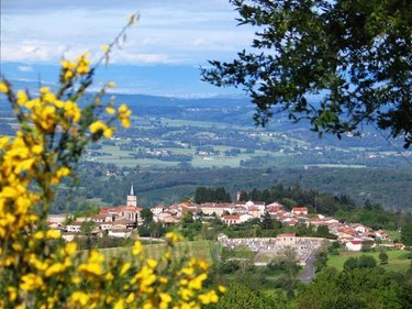 Terrains de loisirs bois etangs a vendre Vollore-Ville 63120 Puy-de-Dôme 9920 m2  3800 euros