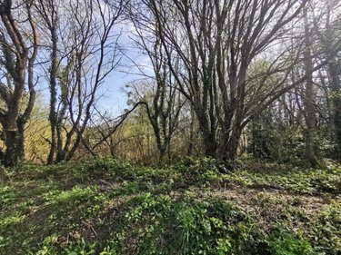 Terrains de loisirs bois etangs a vendre Trégonneau 22200 Côtes-d'Armor 23203 m2  15000 euros