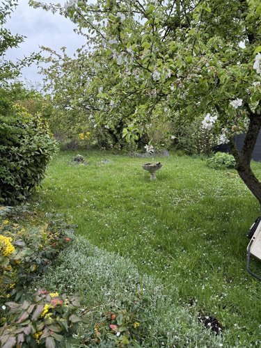 Terrain a batir a vendre Solesmes 59730 Nord 1372 m2  64800 euros