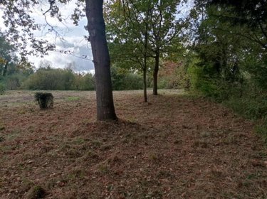 Terrains de loisirs bois etangs a vendre Glisy 80440 Somme 15055 m2  130000 euros