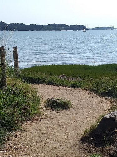 Terrain a batir a vendre Baden 56870 Morbihan 56 m2  279472 euros