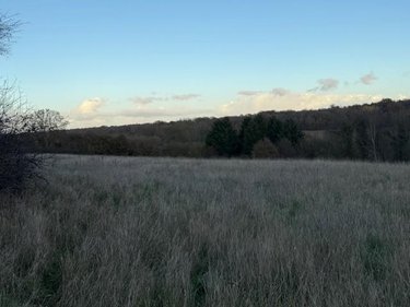 Terrains de loisirs bois etangs a vendre Saint-Germain-d'Aunay 61470 Orne 66140 m2  84200 euros