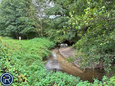 Terrains de loisirs bois etangs a vendre Montaudin 53220 Mayenne 2522 m2  13500 euros
