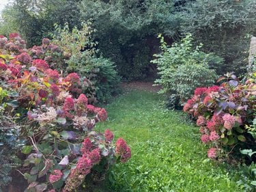 Maison a vendre Arras 62000 Pas-de-Calais 81 m2 5 pièces 132200 euros