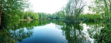 Terrains de loisirs bois etangs a vendre Le Croisty 56540 Morbihan 15350 m2  74400 euros