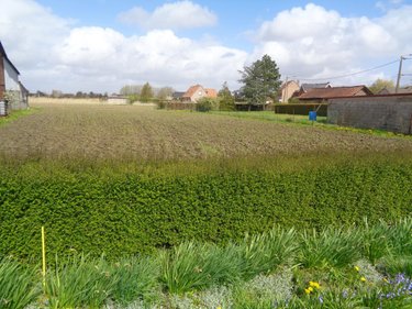 Terrain a batir a vendre La Couture 62136 Pas-de-Calais 746 m2  65500 euros