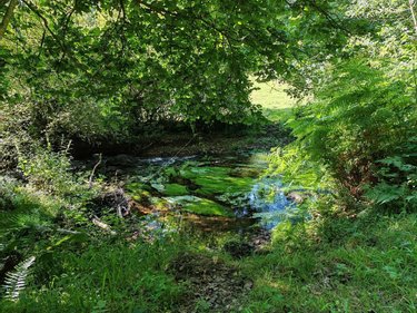 Terrains de loisirs bois etangs a vendre Pleyber-Christ 29410 Finistère 2080 m2  13000 euros