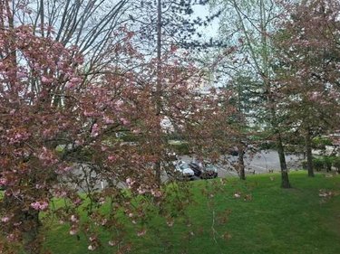 Appartement a vendre Angers 49000 Maine-et-Loire 75 m2  126000 euros