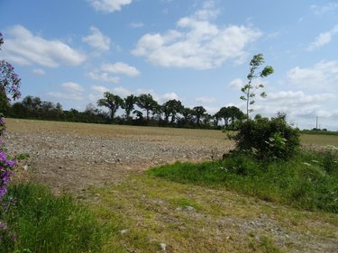 Terrains de loisirs bois etangs a vendre Sacé 53470 Mayenne 238707 m2  157740 euros
