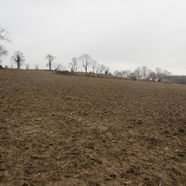Terrains de loisirs bois etangs a vendre Chérencé-le-Héron 50800 Manche 53930 m2  37520 euros