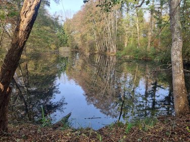 Divers a vendre Courtemaux 45320 Loiret 6670 m2  44000 euros