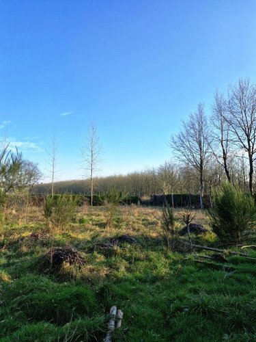 Maison a vendre Lescouët-Gouarec 22570 Côtes-d'Armor 61 m2 4 pièces 84850 euros