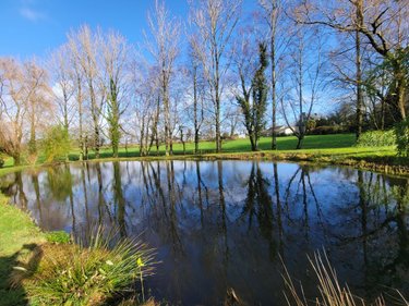 Maison a vendre Spézet 29540 Finistère 154 m2 6 pièces 283660 euros