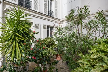 Appartement a vendre Paris 17e arrondissement 75017 Paris 35 m2 2 pièces 299000 euros