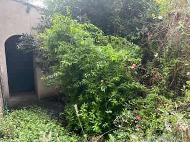 Maison a vendre Arras 62000 Pas-de-Calais 125 m2 5 pièces 260000 euros