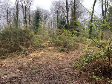 Terrains de loisirs bois etangs a vendre Champ-du-Boult 14380 Calvados 36976 m2  56710 euros