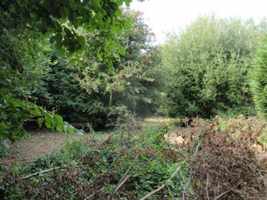 Terrain a batir a vendre Carvin 62220 Pas-de-Calais 1071 m2  74000 euros