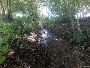 Maison a vendre Lignol 56160 Morbihan 116 m2 7 pièces 262510 euros