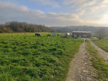 Terrains de loisirs bois etangs a vendre Nivillac 56130 Morbihan 46586 m2  126000 euros