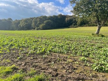 Maison a vendre Le Mené 22330 Côtes-d'Armor 120 m2  63000 euros