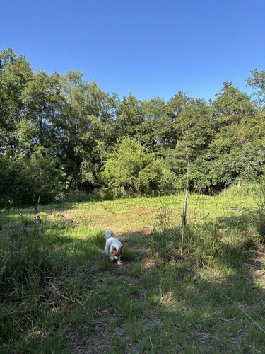 Terrains de loisirs bois etangs a vendre Plouay 56240 Morbihan 25540 m2  22000 euros