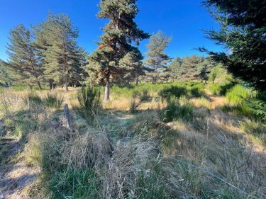 Terrain a batir a vendre Saint-Chély-d'Apcher 48200 Lozère 4849 m2  99000 euros