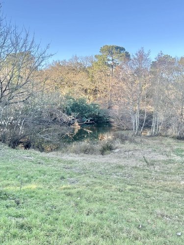 Maison a vendre Mimizan 40200 Landes 300 m2 9 pièces 994560 euros