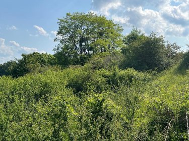 Terrains de loisirs bois etangs a vendre Valorbiquet 14290 Calvados 8050 m2  7500 euros