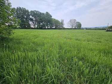 Terrains de loisirs bois etangs a vendre Oudezeele 59670 Nord 14373 m2  46000 euros