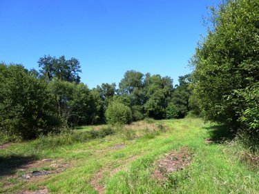Terrains de loisirs bois etangs a vendre Cléguérec 56480 Morbihan 16640 m2  15990 euros