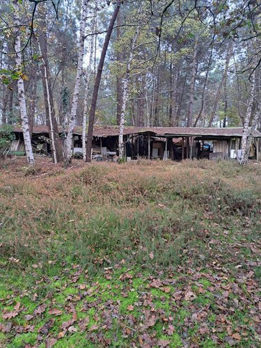 Terrains de loisirs bois etangs a vendre Arnage 72230 Sarthe 10000 m2  27000 euros