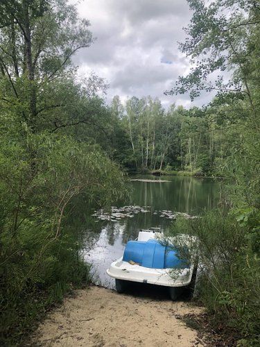 Terrains de loisirs bois etangs a vendre Étouvelles 02000 Aisne 14500 m2  71000 euros