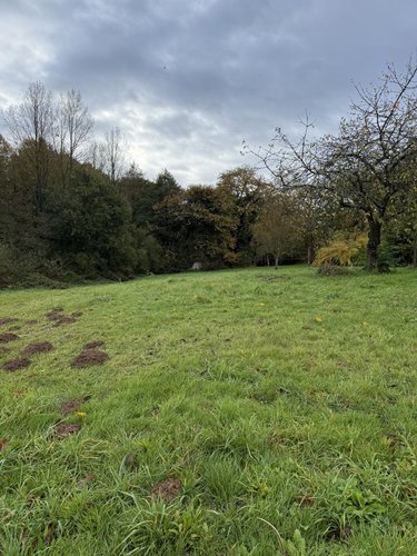 Terrain a batir a vendre Plémet 22210 Côtes-d'Armor 1169 m2  13800 euros