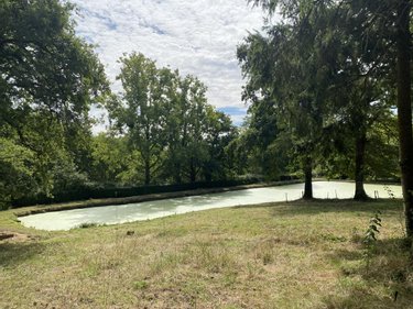 Terrains de loisirs bois etangs a vendre Saint-Georges-de-Pointindoux 85150 Vendée 9800 m2  48150 euros