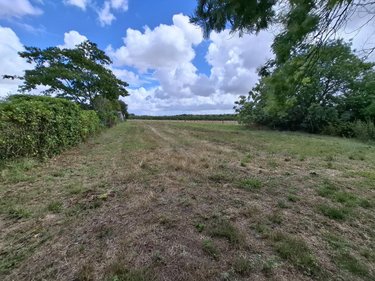 Maison a vendre Sablonceaux 17600 Charente-Maritime 91 m2 3 pièces 105000 euros