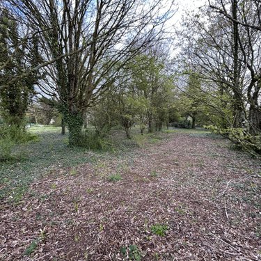 Terrain a batir a vendre Plaimpied-Givaudins 18340 Cher 1567 m2  40000 euros