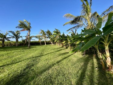 Terrain a batir a vendre Sainte-Suzanne 97441 Réunion 2589 m2  574750 euros