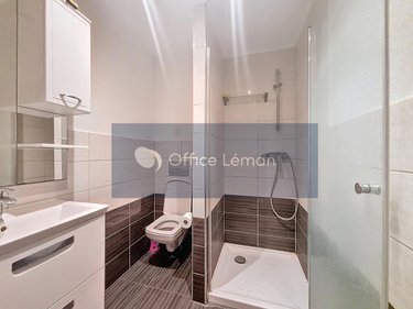 Immeuble a vendre Ségny 01170 Ain 310 m2  1200000 euros