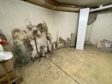 Fonds et murs commerciaux a vendre Locminé 56500 Morbihan 290 m2  230080 euros