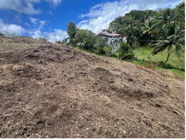 Terrain a batir a vendre Le François 97240 Martinique 2182 m2  200000 euros