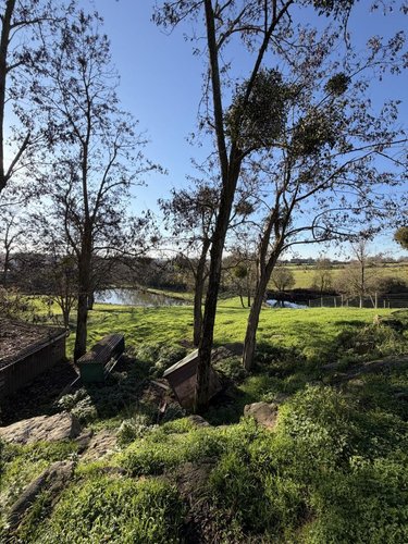 Terrain a batir a vendre Cholet 49300 Maine-et-Loire 1000 m2  94500 euros